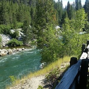 Meet your Posher, Arcellia